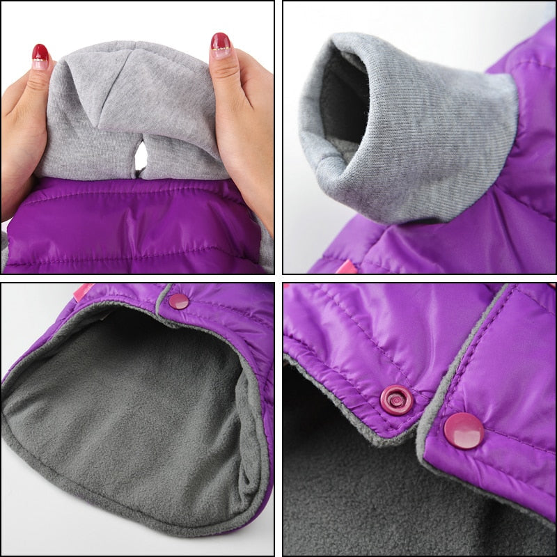Pet Mogan Jacket