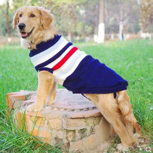 Roupa Gold para Cachorro e Gato - Pet Croc