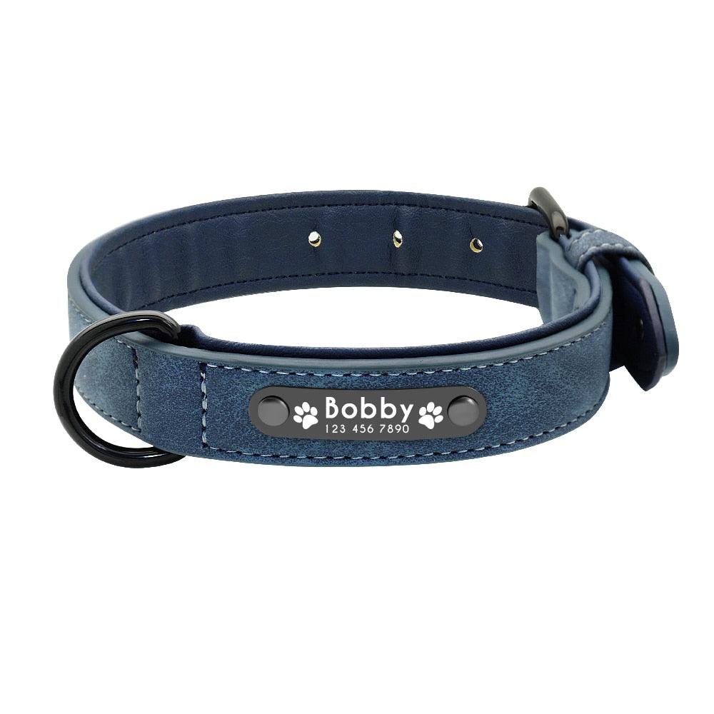 Coleira Personalizada Premium - CollarChic™