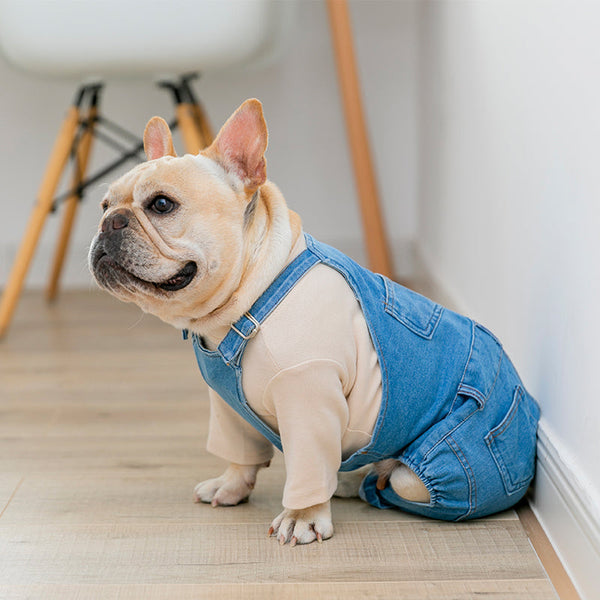 Macacão Jeans Wendy - Pet Croc