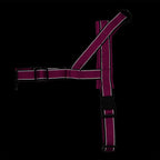 Flexo Anti-pull Chest Harness