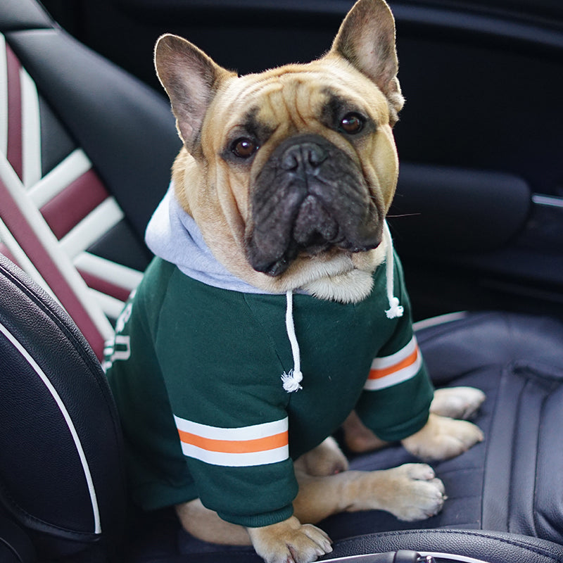 Pet Champs Sweatshirt
