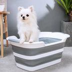 Spa Bathtub for Pet Bathing