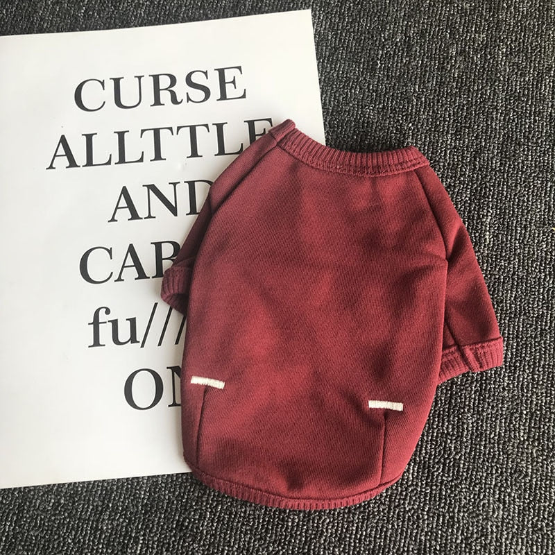 Autumn Pet Sweatshirt