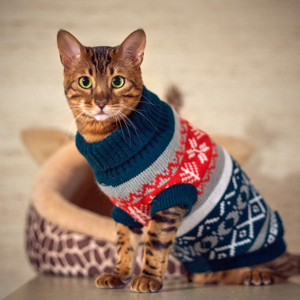 Tricot Pet Mik - Pet Croc