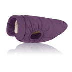 Pet Sport Vest