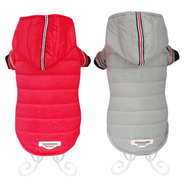 Jaqueta Fashion para Cachorro e Gato - Pet Croc