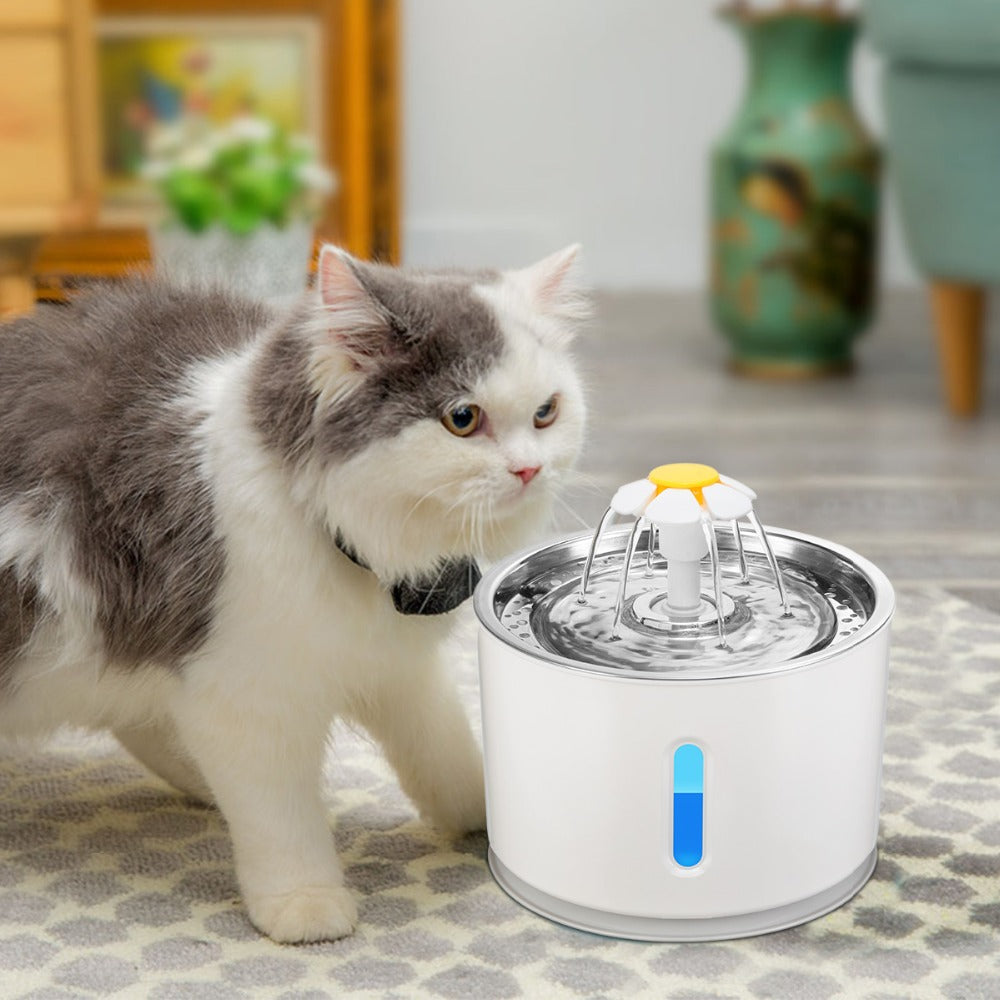 Twin Automatic Water Fountain