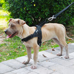 Flexo Anti-pull Chest Harness
