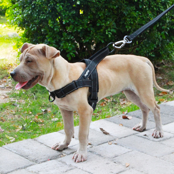 Coleira Peitoral Anti puxão Flexo para Cachorro - Pet Croc