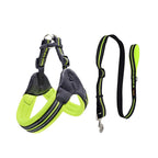 Pet Routice Leather Collar &amp; Leash