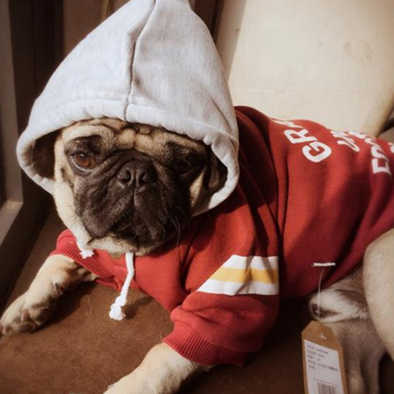 Pet Champs Sweatshirt
