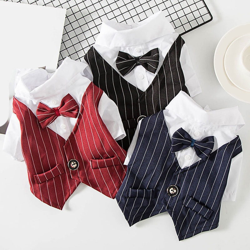 Pet Gentleman Suit