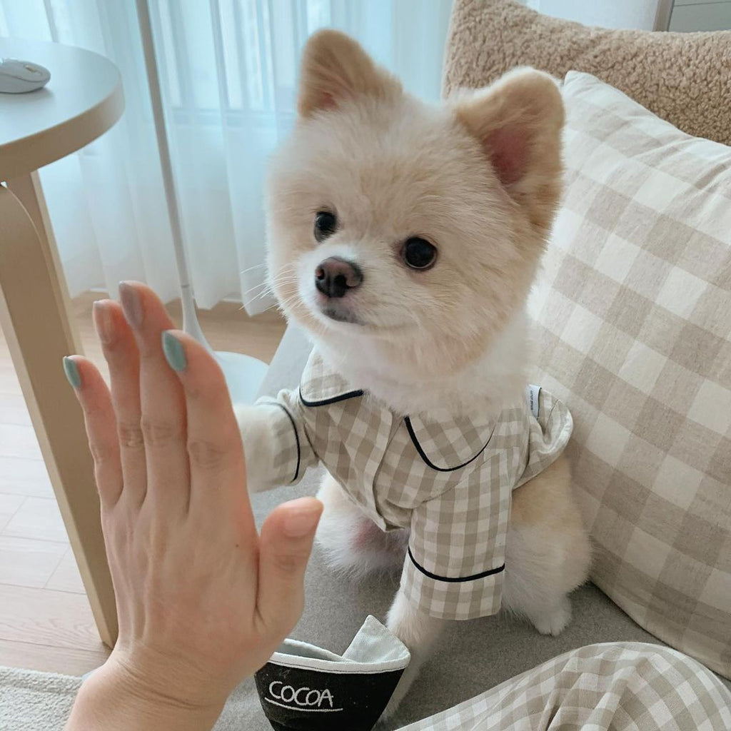 Pet Brie Checkered Pajamas