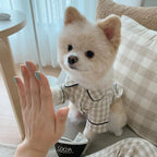 Pet Brie Checkered Pajamas