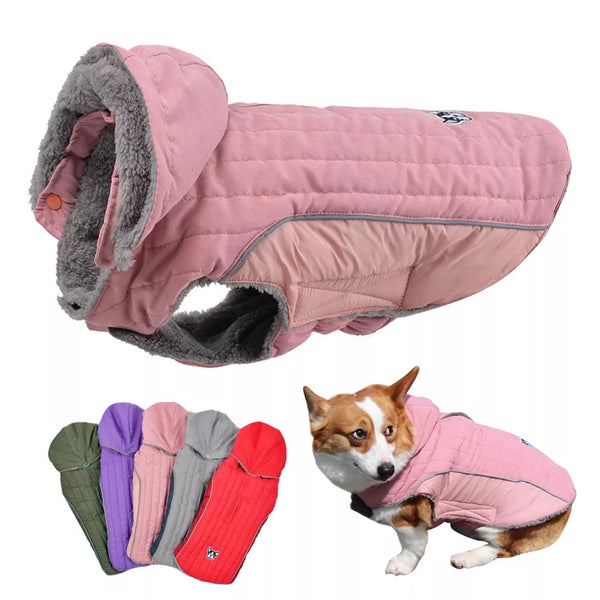 Jaqueta Pet Mathie - Pet Croc