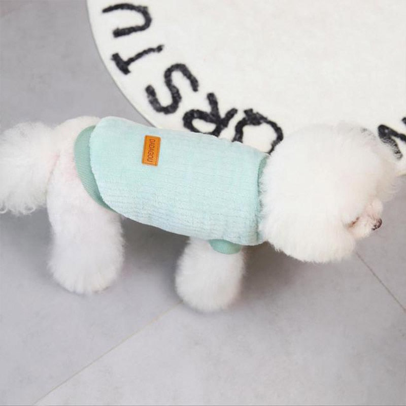 Pet Twing Sweatshirt