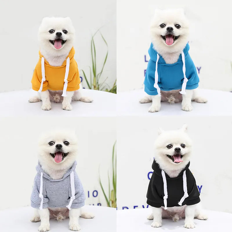 Ragnar Pet Sweatshirt - for small to large breeds