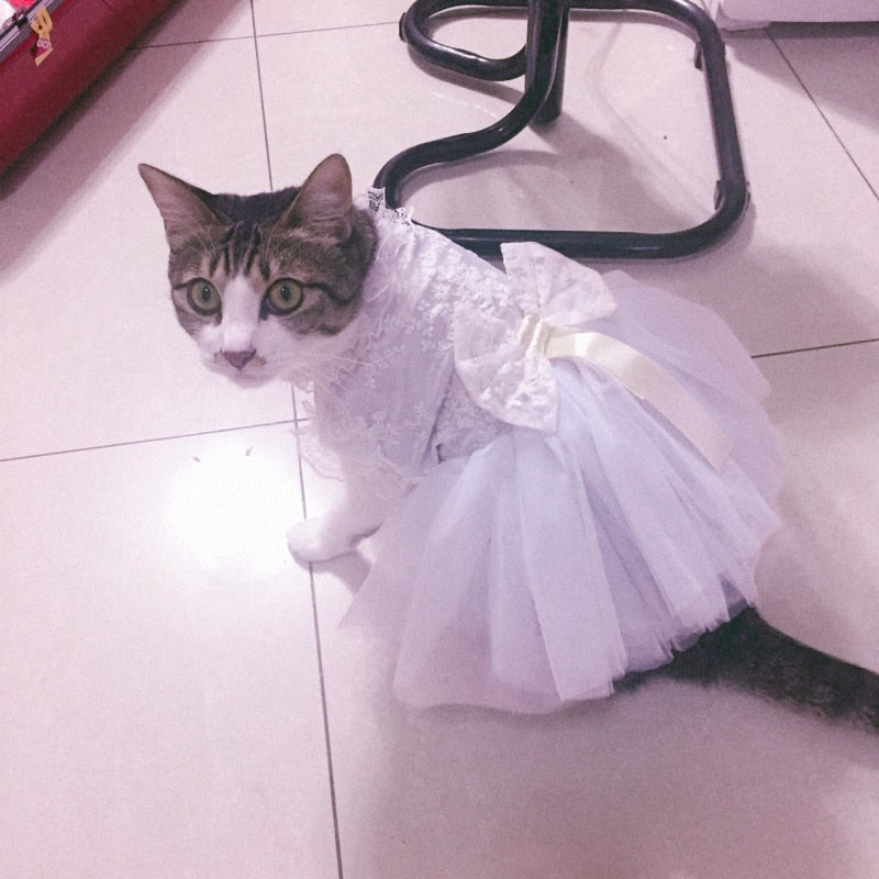 Pet Bride Dress