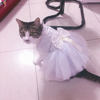 Pet Bride Dress