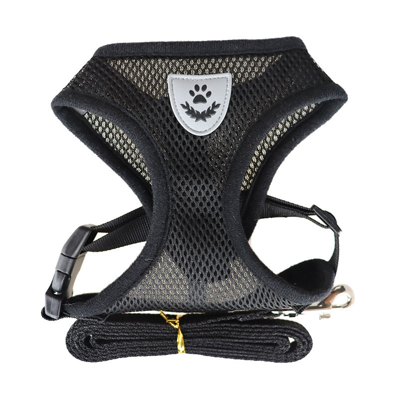 Pet Bunit Collar &amp; Leash