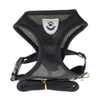 Pet Bunit Collar &amp; Leash