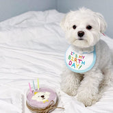 Babador Pet Birthday