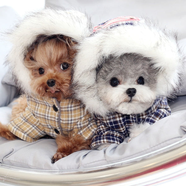 Casaco Inverno Moteau para Cachorro - Pet Croc