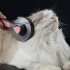 Pet Stiff Brush