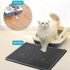 Clean Cat Litter Mat