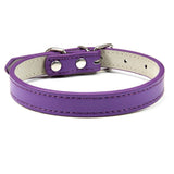 Roxo