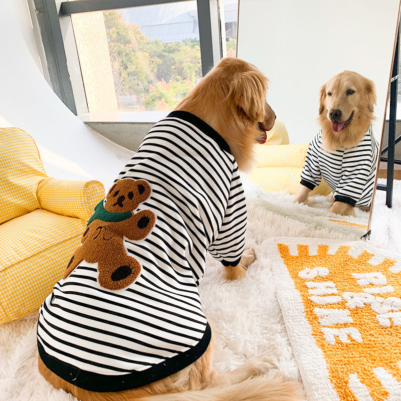 Apolo Pet Sweatshirt