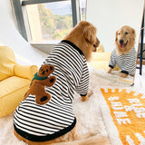 Apolo Pet Sweatshirt