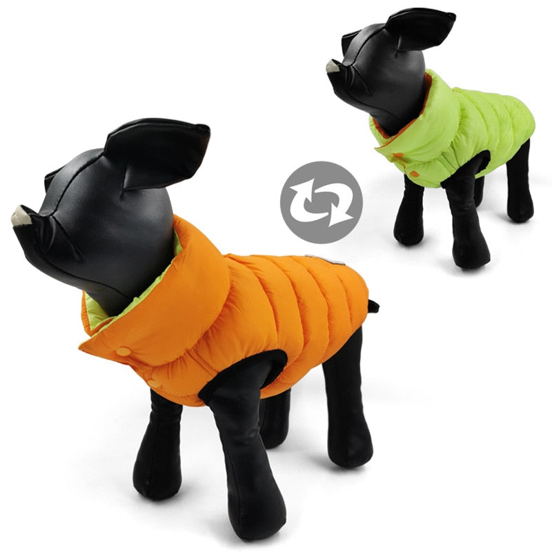 Colorful Double-Sided Pet Vest