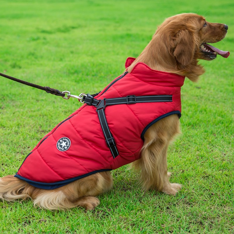 VIP Waterproof Vest