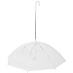 Guia com Guarda-chuva Tour