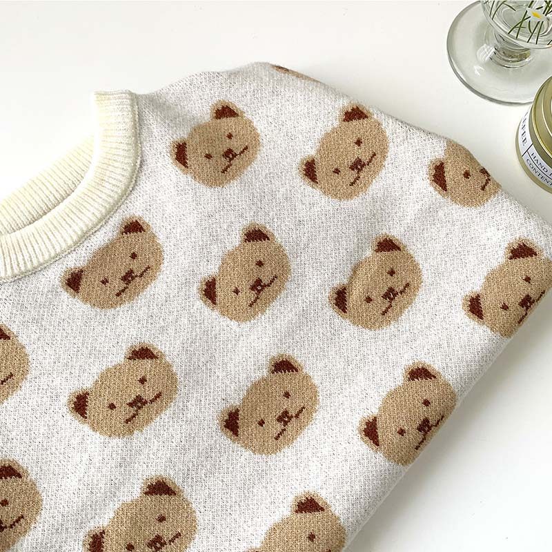 Suéter Pet Teddy