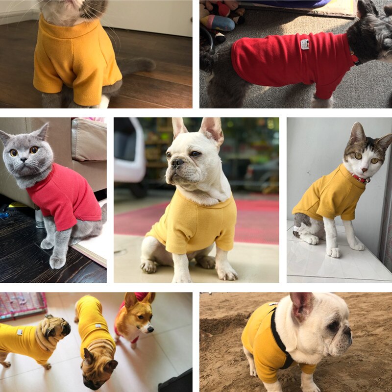 Pet Chic Sweatshirt