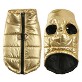 Dourado