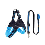 Pet Routice Leather Collar &amp; Leash