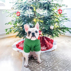 Pet Merry sweatshirt