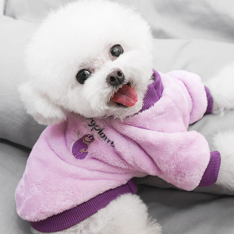 Pet Fruit sweatshirt 