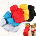 Ragnar Pet Sweatshirt - for small to large breeds