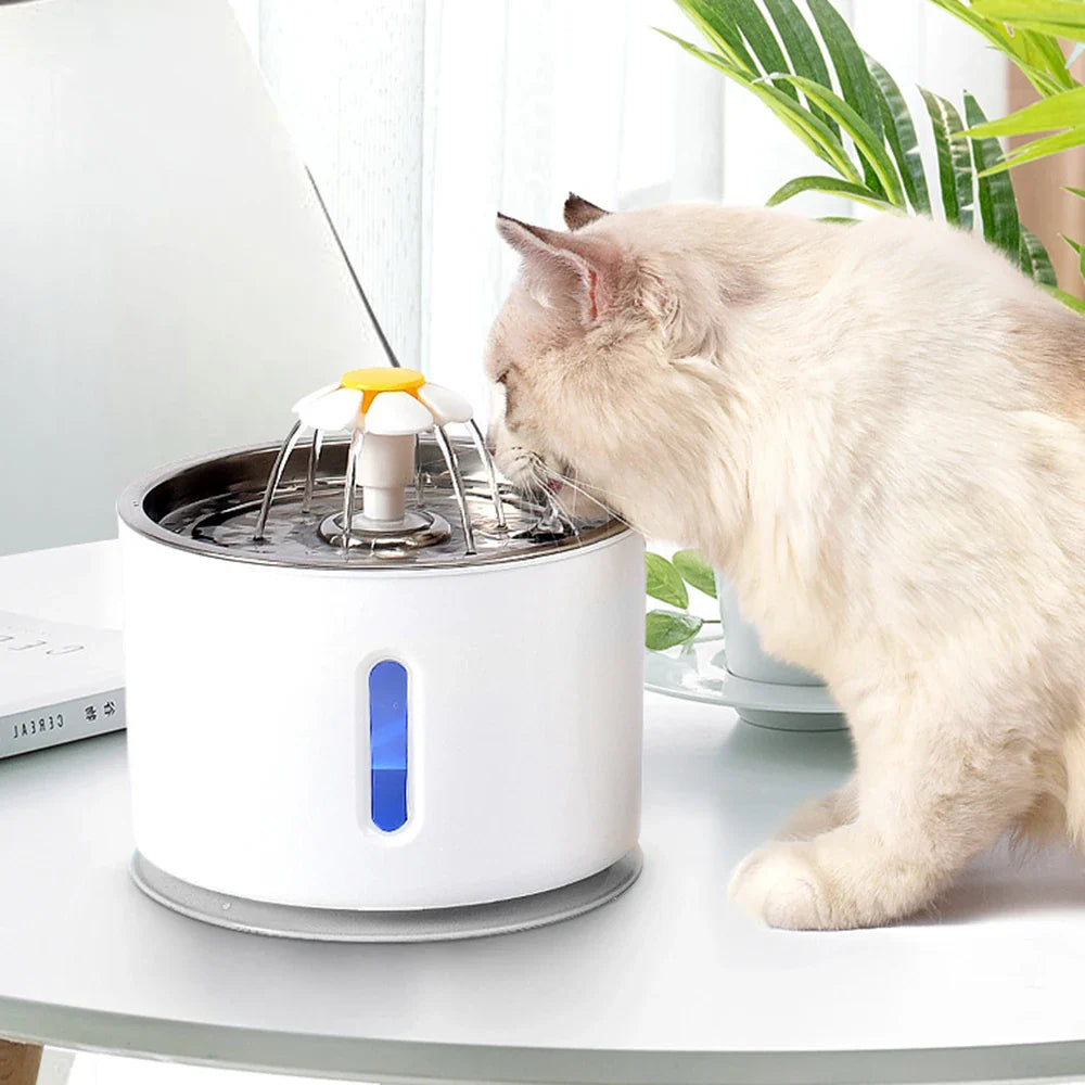Twin Automatic Water Fountain