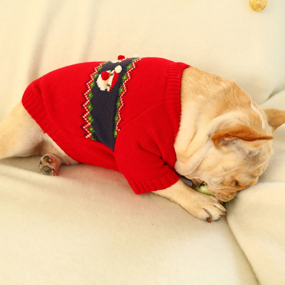 Knitted Pet Santa Claus 