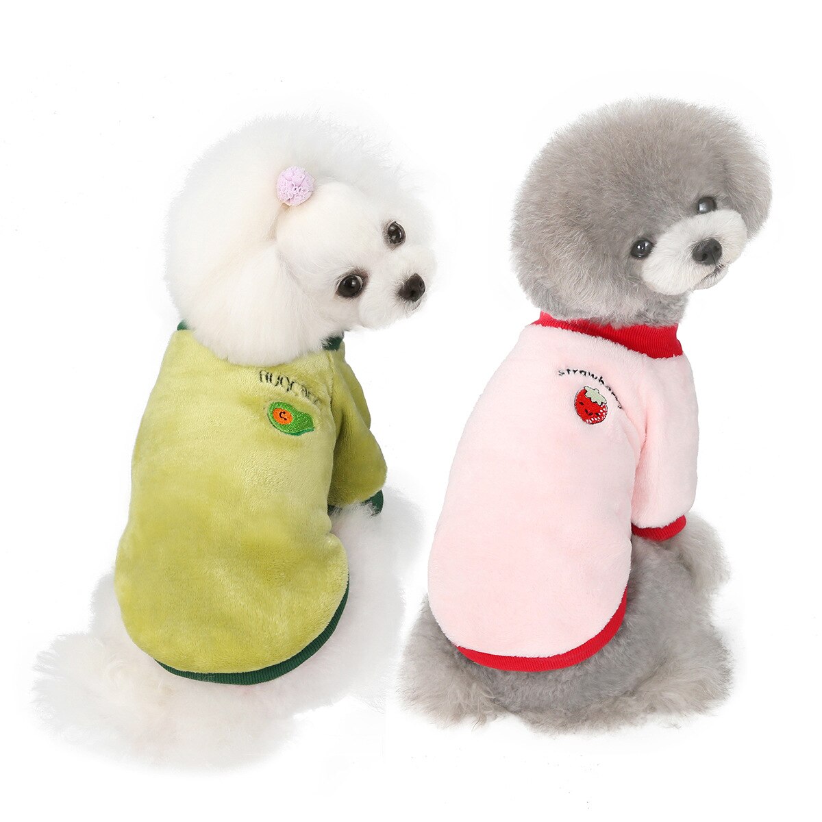 Pet Fruit sweatshirt 