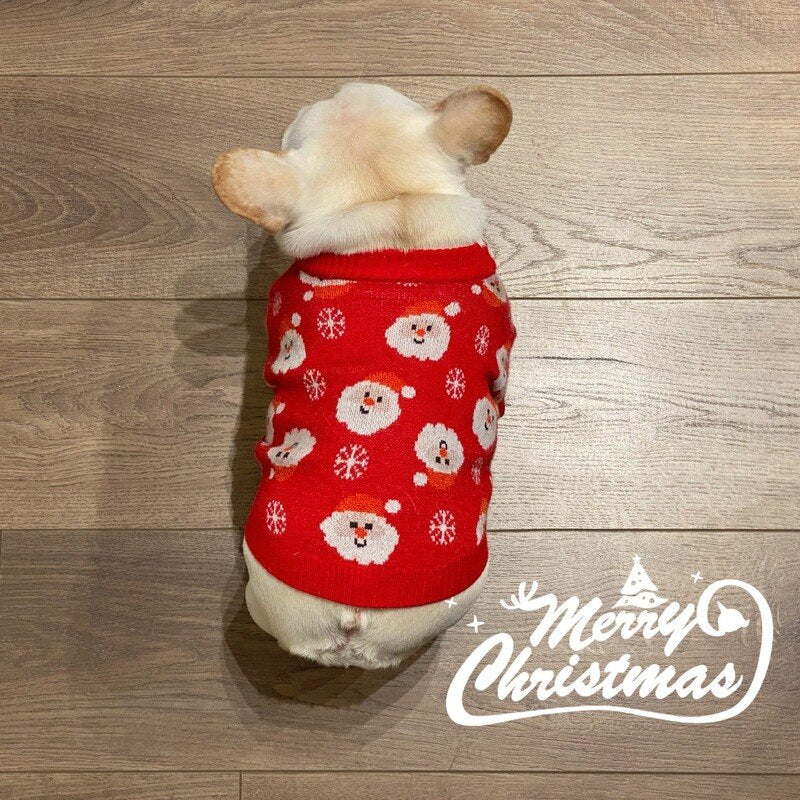 Tricot Pet Natal Enzo