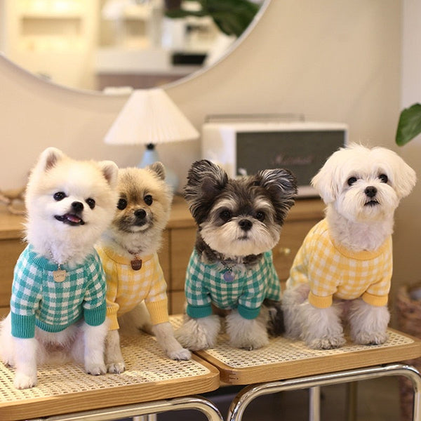 Tricot Pet Beju - Pet Croc