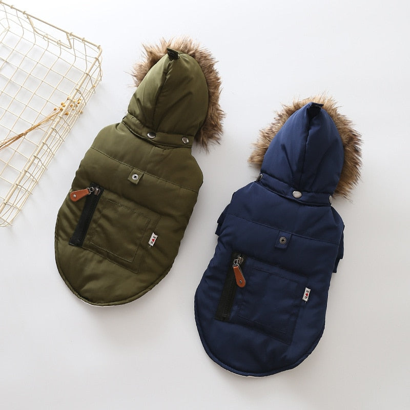 Pet Tigo Jacket 