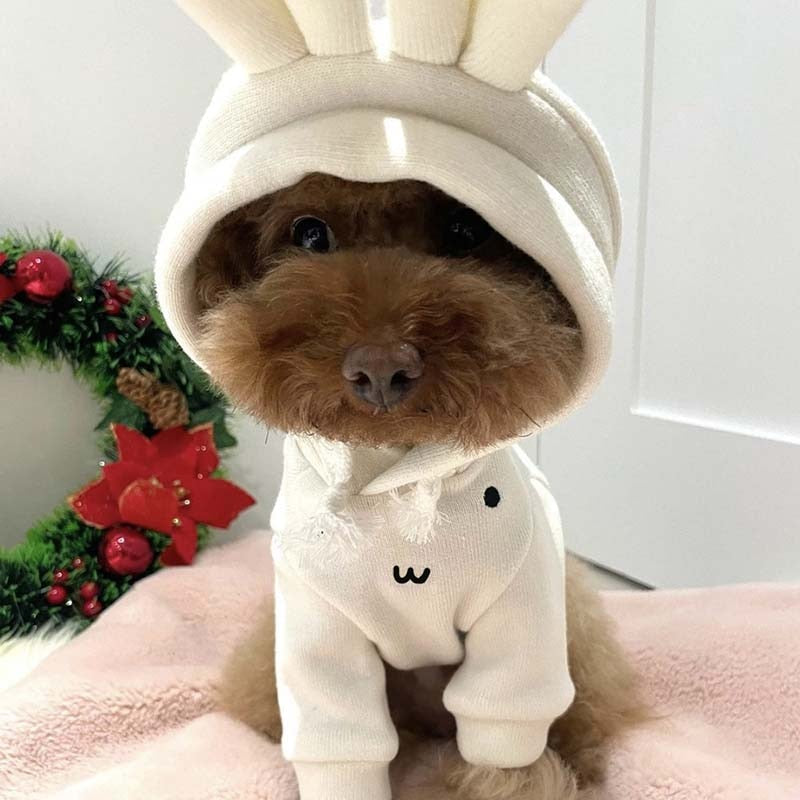 Cute Pet Sweatshirt